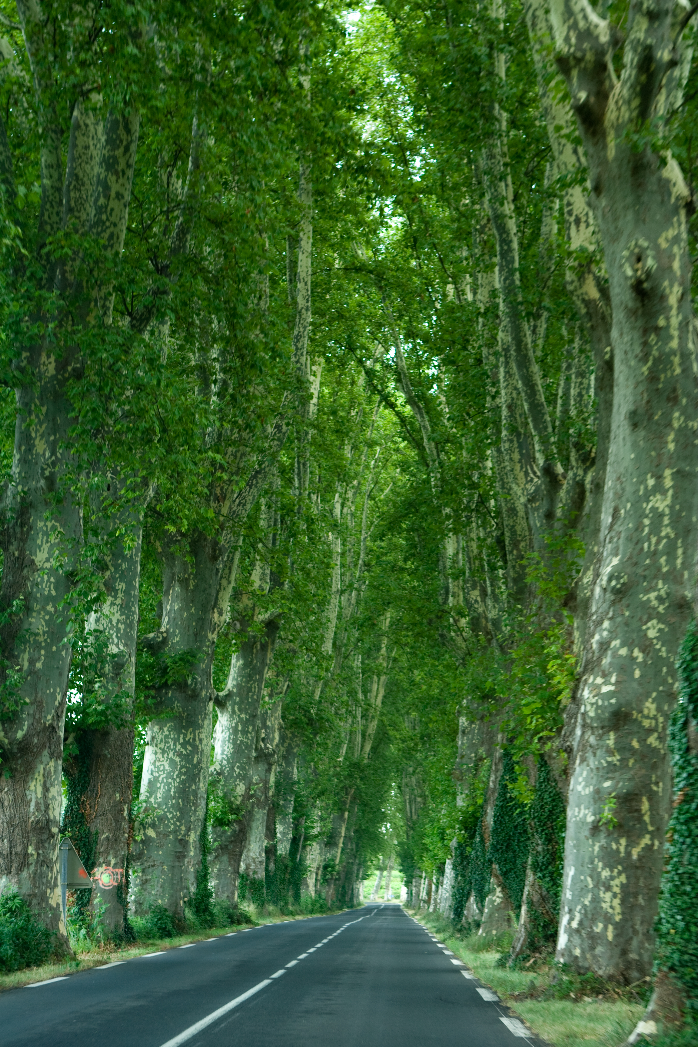 vakantie 2009 ontdekkingsreis-018.jpg